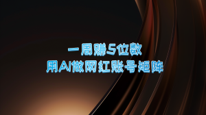 【2024.9.27】一周赚5位数 用AI做网红账号矩阵-老张项目网