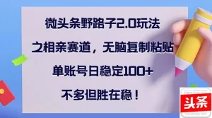 【2024.9.27】微头条野路子2.0玩法之相亲赛道，无脑复制粘贴，单账号日稳定100+-老张项目网