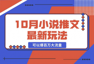 【2024.10.23】10月小说推文最新玩法，朋友圈图文评论区玩法，可以爆百万大流量-老张项目网