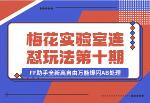 【2024.11.02】梅花实验室社群专享课视频号连怼玩法第十期课程+第二部分-FF助手全新高自由万能爆闪AB处理-老张项目网