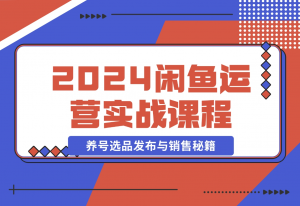 【2024.11.11】2024闲鱼运营实战课程：揭秘养号、选品、发布与销售秘籍，助你快速出单-老张项目网