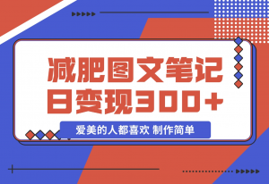 【2024.11.19】减肥图文笔记，只要爱美的人都喜欢，制作简单，小白也能如入300+-老张项目网