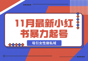 【2024.11.23】K总部落11月最新小红书7天暴力起号项目，吸引女性做私域-老张项目网