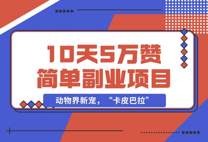 【2024.12.01】动物界新宠，“卡皮巴拉”是什么东西，10天5万赞，萌翻一片，管道收益，简单副业项目-老张项目网