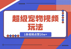 【2024.12.05】超级宠物视频玩法，1条视频点赞20w+-老张项目网