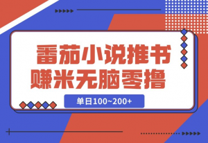 【2024.12.06】番茄小说推书赚米，单日100~200+，无脑零撸-老张项目网