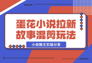 【2024.12.16】小说推文实操分享，蛋花小说APP拉新故事混剪玩法-老张项目网