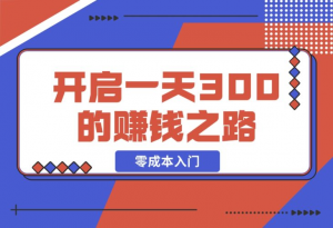 【2024.12.17】零成本入门！简单几步开启一天300+的赚钱之路！-老张项目网