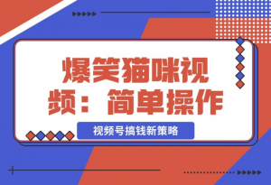 【2024.12.20】爆笑猫咪视频：简单操作，视频号搞钱新策略！-老张项目网