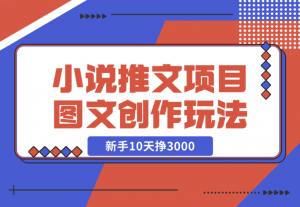 【2024.12.22】小说推文项目，图文创作玩法，新手10天挣3000-老张项目网