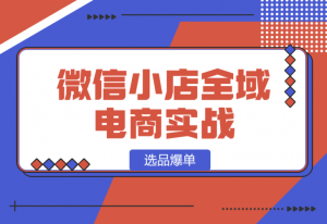 【2025.1.13】微信小店全域电商实战系列之–选品爆单-老张项目网